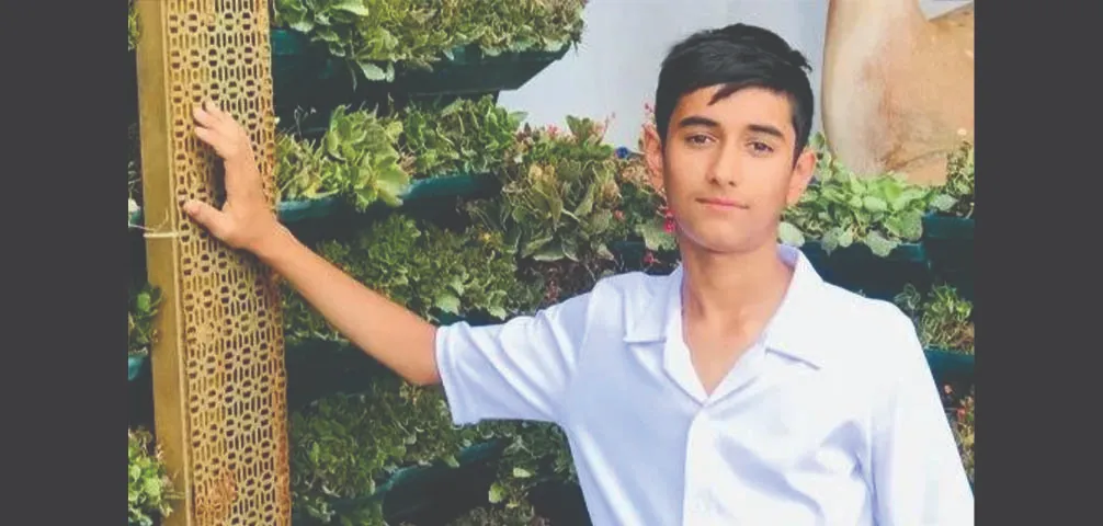 بیوگرافی شهراد اجی