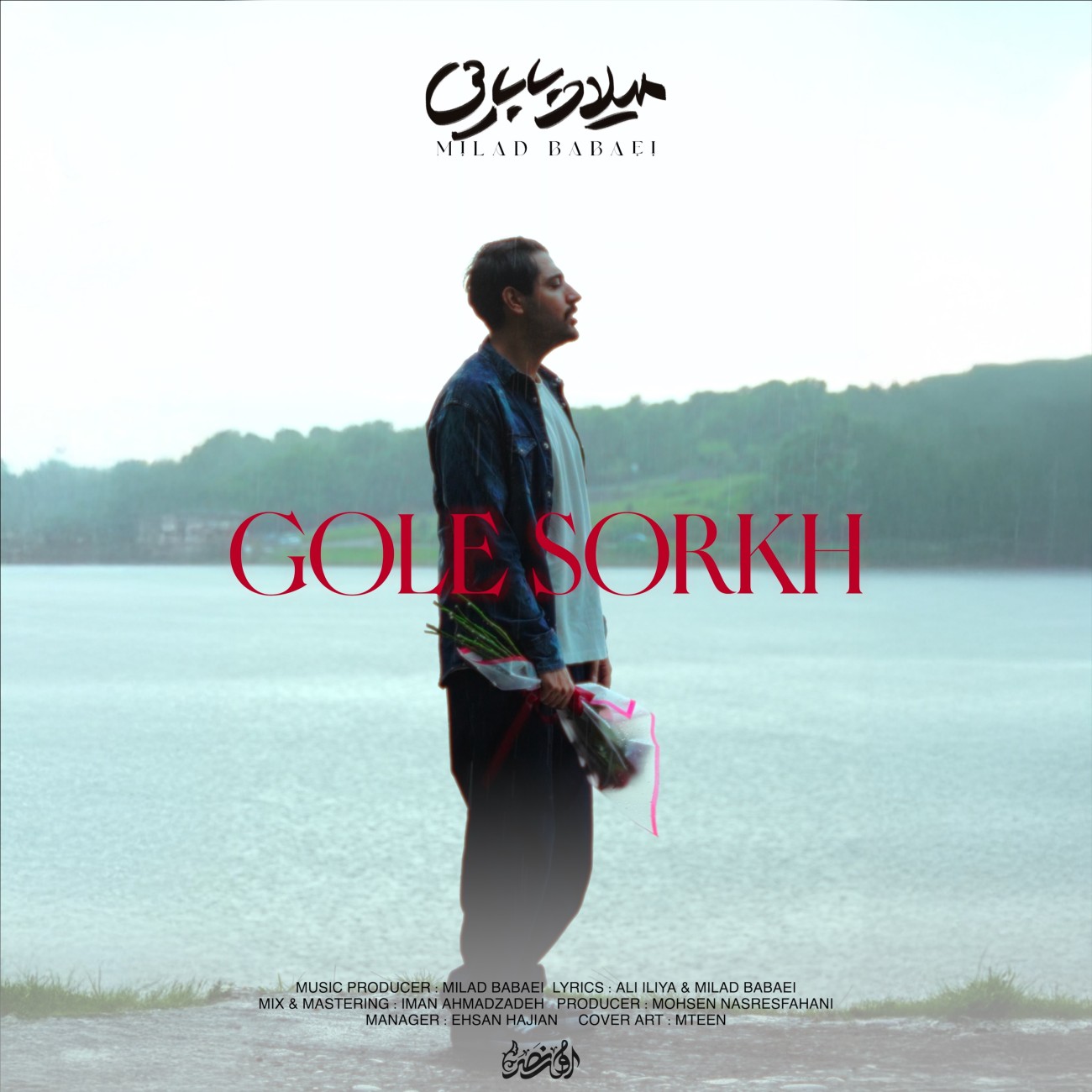 گل سرخ از میلاد بابایی