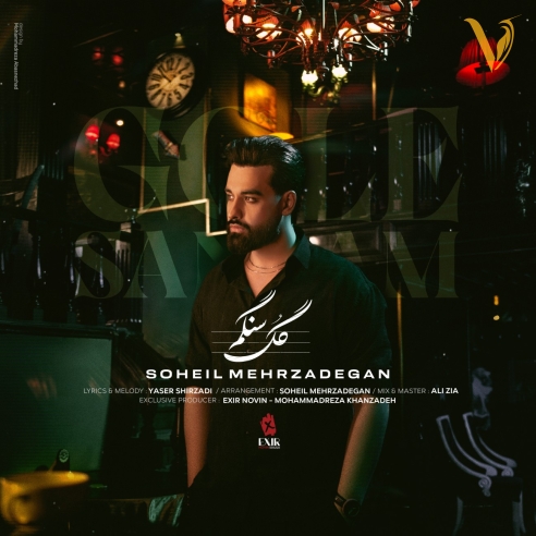 دانلود آهنگ سهیل مهرزادگان به نام گل سنگم