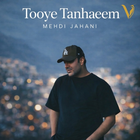 دانلود آهنگ توی تنهاییم از مهدی جهانی