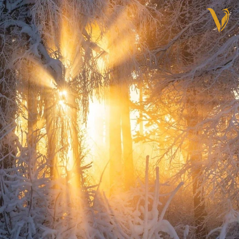 لالا کن دختر زیبای شبنم