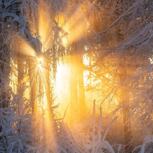 لالا کن دختر زیبای شبنم