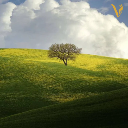 ناناز ناناز نازتو بنازم دختر دهاتی