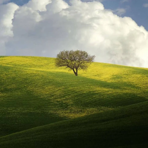 ناناز ناناز نازتو بنازم دختر دهاتی