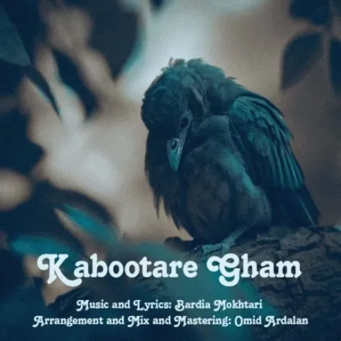 بردیا مختاری کبوتر غم