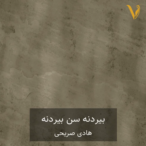 هادی صریحی بیردنه سن بیردنه